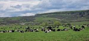 Sursa foto: dn-agrar.eu/ro